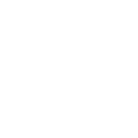 White Round Circle White Round Circle